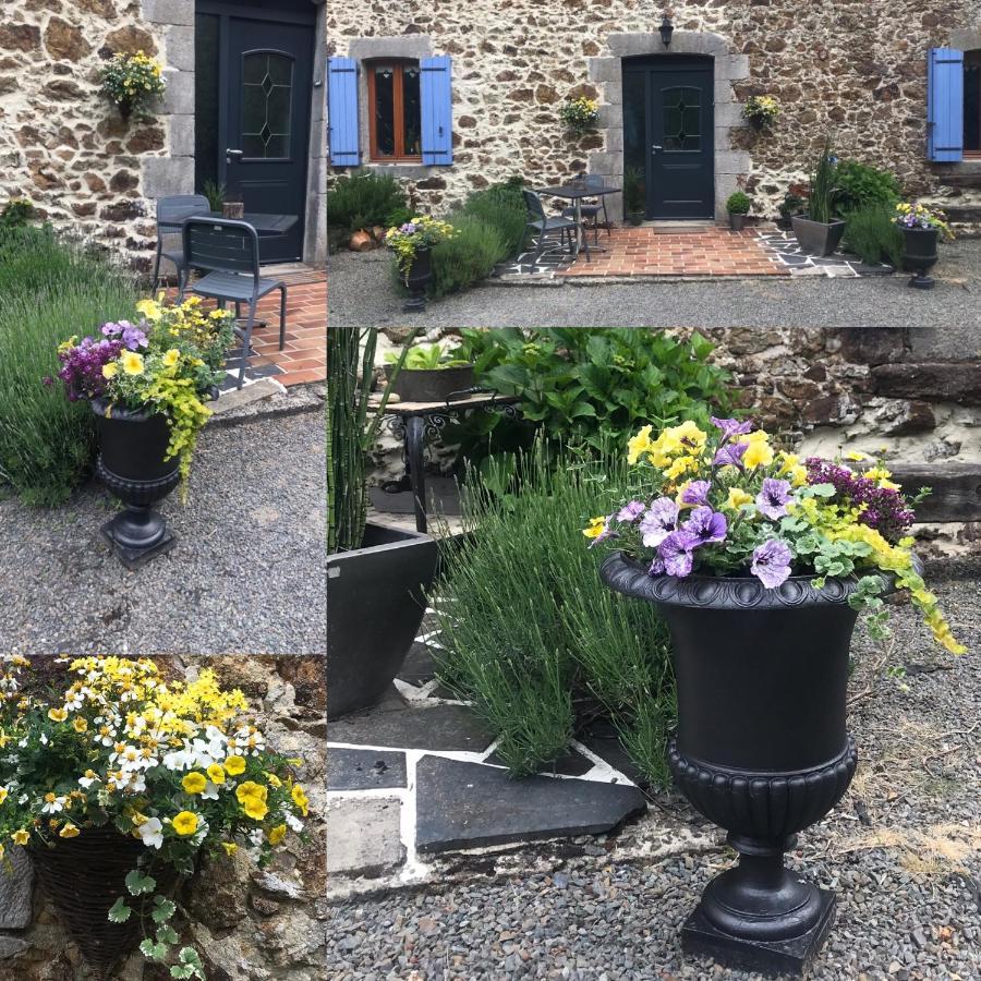 Bocage Et Coquillage Apartment Gouville-sur-Mer Luaran gambar